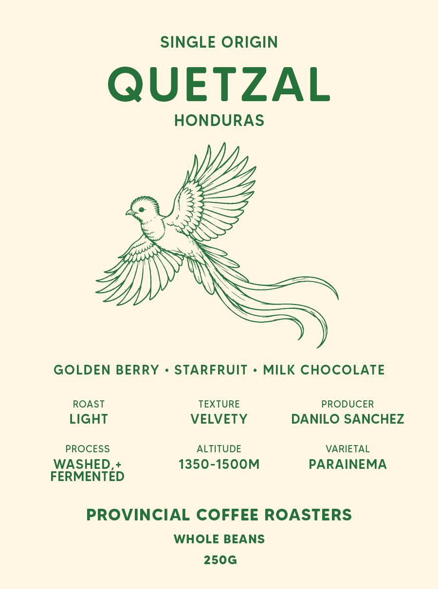 Quetzal- Honduras